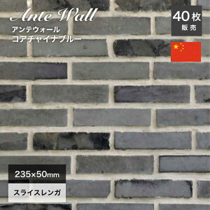 K Ǘp AeB[NK CK Cu[ XCXK ubN  ubN  g Be[W Ǎ CeA DIYyAeEH[ RA`Ciu[ 1