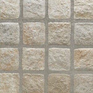 y11/1ISiP10{zܐ΃^C ^C ԏ^C sR 100mmp `  v ~΁@h@ԗEdsyO^C lNXg S4F 100p P[X̔(88)z