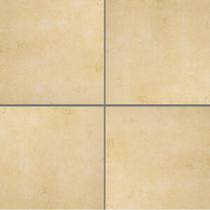 y11/1ISiP10{z^C 300p փ^C ^CfbL Av[` oRj[ O O Obv ~ ^C @\^C AC{[/N[/O[/ubN  