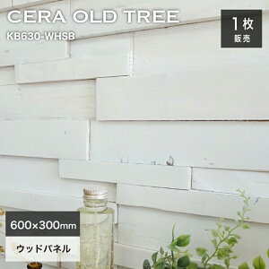 y11/1ISiP10{zVR Ǘp Ebhpl EH[pl  zCg h ؍ AeB[N Be[W Ǎ   Í 3DEbhyZI[hgD[ KB630R-WHSB 1V[g