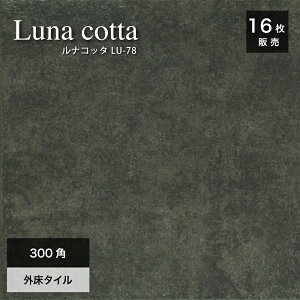 eRb^^C փ^C ^C  Obv ~ fĂ i` Jg[  O[ _[NO[yiRb^ LU-78 300p O P[X(16)̔z