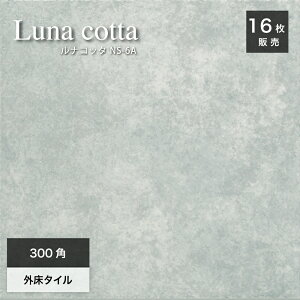 eRb^^C փ^C ^C  Obv ~ fĂ i` Jg[  DF O[yiRb^ NS-6A 300p O P[X(16)̔z