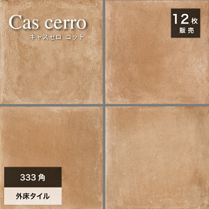 eRb^^C XyCY ^C փ^C  tA^C eRb^ fĂ i` Jg[  uE/FyLXZ 333p Rbg O P[X(12)