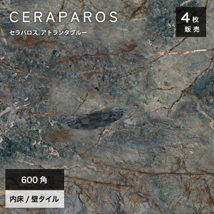 ^C 嗝΃^C ^C ʃ^C  |bV }[u͗l Ζږ͗l ^C 펿    ubN  GKX 600×600mm 唻^C VRΒ zeCNy