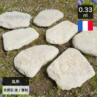 乱形石 フランス産 天然石 敷石 飛び石 ライムストーン 石灰岩 乱張り イエロー ベージュ 庭 玄関 アプロ…