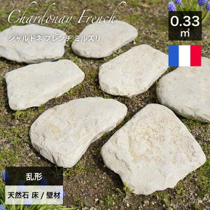 ` tXY VR ~ ѐ CXg[ ΊD  CG[ x[W   Av[` Ԓd m GNXeA DIY O\ K[fjO u΁yVhlt` ~
