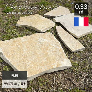 ` tXY VR ~ ѐ CXg[ ΊD  CG[ x[W   Av[` Ԓd m GNXeA DIY O\ K[fjO u΁yVhlt` 