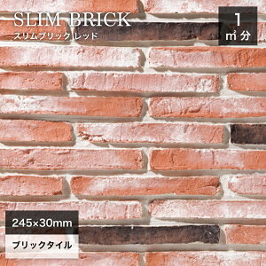 y11/1ISiP10{zKǗp O  O^C AeB[NK ubN^C {[_[ 245×30mm yʃK XCXK DIYyXubN bh P[X(80)̔z