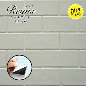 ^C V[ Lb`^C ^C XebJ[   TuEFC^C ʏ gC Lb` \邾DIYyX V[^Cv ڒn62 1̔z