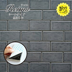 ^C V[ Lb`^C ^C XebJ[   TuEFC^C ʏ gC Lb` \邾DIYyX V[^Cv ڒn65 1̔z