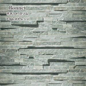 y11/1ISiP10{zǐ ǐΒ VR΃{[_[ Ε ΐς O ΍ VR O Ǘp ΍ 和  O\y{lbgXtHXgbWP[X(0.5m2)̔z