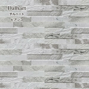 ^CC^AYXg[VRΕǃ^CǍޒdiyXg[^CLb`^Cʗ^Cꃂ_CeAy_n[g1rARP[X̔z