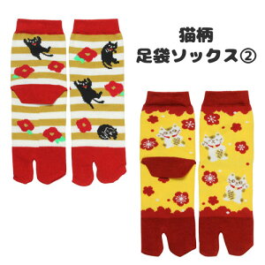 LG݁yɂ񉮁z܃\bNX2(֖E܂˂)y[֑Ήz