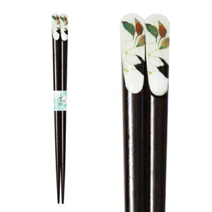 y[֑ΉzԂ낤ؘ@21cm