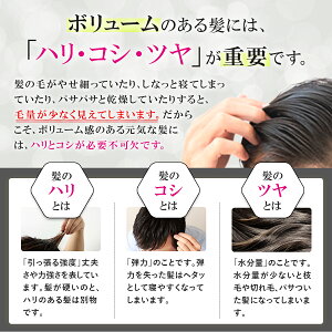 楽天市場 ケフトルex スカルプシャンプー コンディショナー セット 500ml 500g 頭皮ケア 育毛シャンプー メンズシャンプー アミノ酸シャンプー 脂性肌 フケ かゆみ 予防 薄毛 抜け毛 ノンシリコン メンズ レディース 男性用 女性用 男女兼用 返金保証 Kfutol 楽天市場 ケフトルex スカルプシャンプー コンディショナー セット 500ml 500g 頭皮ケア 育毛シャンプー メンズシャンプー アミノ酸シャンプー 脂性肌 フケ かゆみ 予防 薄毛 抜け毛 ノンシリコン メンズ レディース 男性用 女性用 男女兼用 返金保証 Kfutol