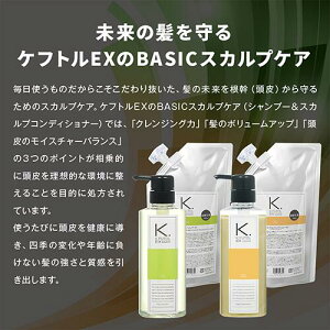 (乾燥肌・アミノ酸系シャンプー・スカルプシャンプー・フケ・抜け毛・ヘアケア・洗髪料)