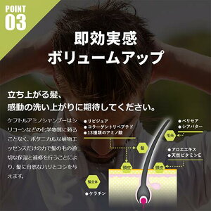 k.futol(ケフトル)【アミノシャンプーEX詰替2個セット】メンズ(男性向け)<シャンプー>(乾燥肌・アミノ酸系シャンプー・スカルプシャンプー・フケ・抜け毛・ヘアケア・洗髪料)<送料無料・あす楽><500ml×2>