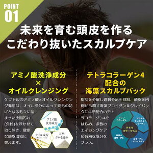 2本セット/ケフトルEX(kfutol)髪のミライを育む大人の頭皮ケア基礎セットA/アミノシャンプー&スカルプコンディショナーセット各500ml|セラピュア|育毛シャンプー、ノンシリコン・アミノ酸系・スカルプケア・無添加・無香料・無着色料・パラベンフリー|男女兼用