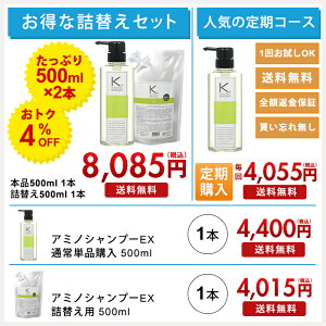 <定期お届け>【ケフトル(k.futol)アミノシャンプーEX】【プライバシー梱包】【ヤマト宅急便】