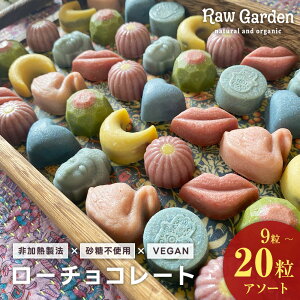 砂糖不使用 ダイエットチョコ 【RAWGARDEN ボンボンショコラ ローチョコレート アソート】ヴィーガン オーガニックチョコ ヴィーガンスイーツ ロースイーツ 有機 砂糖不使用 乳製品不使用 小