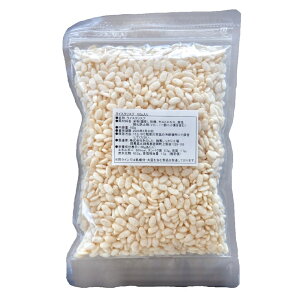 CXNXv100g ܖ 2025.12.26~yƐ@VA pt Om[@XC[c@p@ACX@Y CXNXs[ ptF@ЂȂ@mtC@`bNt z