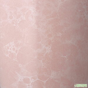  ANA 5_Zbg ŋ d Zbg Vv _ RpNgTCY A ybg@΁EsNEEڗEEԒE ~ ~ ~ V~ |Cg