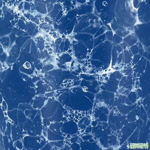  ANA 5_Zbg ŋ d Zbg Vv _ RpNgTCY A ybg@΁EsNEEڗEEԒE ~ ~ ~ V~ |Cg