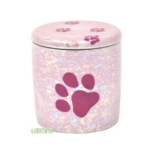  GWFƃpbL 2  ~j u[ sN zCg p[ Vg JCC  킢  LC Y ꂢ Α  [ d 茳{ ފ ފ 