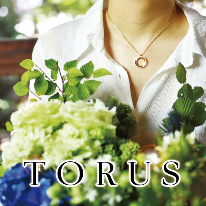 楽天市場 Torus トーラス シルバー 遺骨ペンダント 売れ筋 手元供養 手元 供養 お彼岸 彼岸 法事 墓じまい ミニ骨壷 骨壺 分骨 仏具 納骨 ペット 可 お盆 盆 初盆 新盆 見舞い 新盆見舞い ポイント消化 骨壷と棺の冠婚葬祭研究所