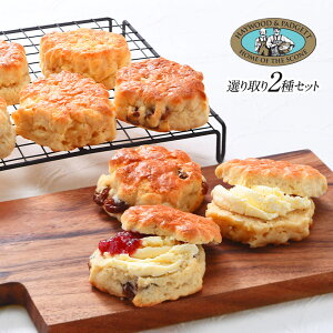 �I�ׂ�p���Y�X�R�[�� �I����2��Z�b�g�i�`�[�Y�̂�8�j�m�Ⓚ�̂݁n�y���������z�y3�`4�c�Ɠ��ȓ��ɏo�ׁz