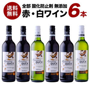 S _h~ܖY jO_bN ԃC C MIX 6{ Zbg [W][WT70] AtJ I[KjbNC SO2t[ YC ̓ ̓ Mtgyzy4`5cƓ