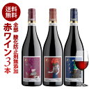 お試し 酸化防止剤無添加ワイン ピッツォラート 赤ワイン 3本 セット［冷蔵のみ］オーガニックワイン オーガニック認証 SO2フリー 無添加ワイン ワインセット【1〜2営業日以内に出荷】【送料無料】 [W][WT34] 母の日 父の日 ギフト