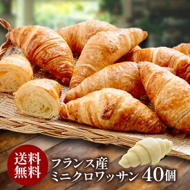 フランス産 ミニクロワッサン 25g×40個リパック［冷凍のみ］【3～4営業日以内に出荷】【送料無料】[B][R]