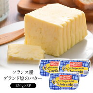 フランス産 ゲランド塩のバター 250g×3P［冷蔵/冷凍可］【送料無料】［予約販売：4月27日〜5月1日に出荷…