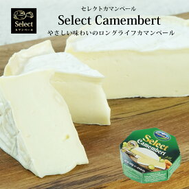 Alpenhain社 カマンベールチーズ 125g［冷蔵のみ］【1〜2営業日以内に出荷】［賞味期限：2025年11月28日］