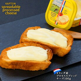 プロセススプレッドチーズ 100g［冷蔵］【3〜4営業日以内に出荷】