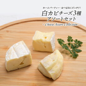 白カビチーズ3種アソートセット（カマンベール/ブリー/ランゲリーノ）［賞味期限：お届け後10日以上］［冷蔵］【3～4営業日以内に出荷】