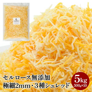 Ŕ 3~bNXVbh`[Y2mm 500g×10܁i5kgjmS[_40Eg[WbN40Ebh`F_[20nmӂ킿[nmZ[XYnm①/Ⓚnyz