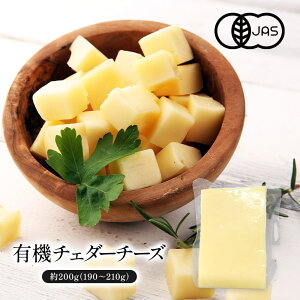 �L�@�`�F�_�[�`�[�Y��200g�i190�`210g�j�m�①/�Ⓚ�n�y1�`2�c�Ɠ��ȓ��ɏo�ׁz[D][R]