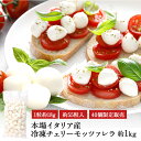 イタリア産 冷凍チェリーモッツァレラ 1kg［冷凍のみ］【3〜4営業日以内に出荷】［賞味期限：2026年1月8日］