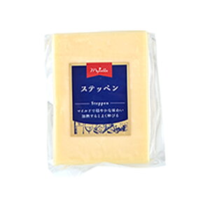 �X�e�b�y�� ��100g�J�b�g�m�①/�Ⓚ�n�y1�`2�c�Ɠ��ȓ��ɏo�ׁz�m�ܖ������F2026�N6��21���n[R]
