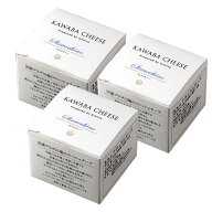 KAWABA ストラッキーノ 100g×3個セット 牧場から100mの工房でつくる 国産チーズ［冷蔵のみ］［賞味期限…