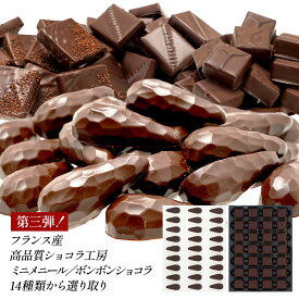 フランス産 高品質ショコラ工房 ミニメニール・ボンボンショコラ 選り取り【送料無料】［賞味期限：出荷日より30日］［冷蔵/冷凍可］【3～4営業日以内に出荷】