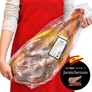�m���n�����؂̂݁E�������n�X�y�C���Y �n�����Z���[�m ���� 12�����n�� ��7kg(5kg-8kg) �m�①�̂݁n�y3�`4�c�Ɠ��ȓ��ɏo�ׁz�y���������z[M]