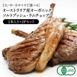 TCYIׂ I[KjbN I[XgAY\gubV`bv 2P×2܃ZbgmⓀ̂݁ny3`4cƓȓɏoׁz