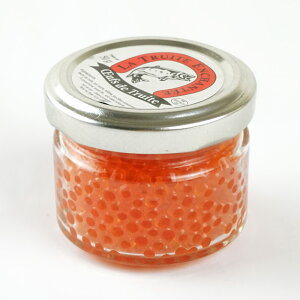 gDCbgAVeRgbv t}X̗50gm①ny3`4cƓȓɏoׁz