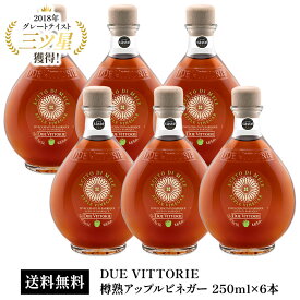 DUE VITTORIE（ドゥエ・ヴィットーリエ）樽熟アップルビネガー 250ml×6本［ケース販売］［基本常温/冷蔵も可］【3〜4営業日以内に出荷】【送料無料】