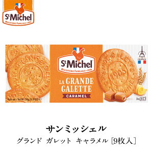 �T���~�b�V�F���mStMIchel�n�O�����h �K���b�g �L���������m9�����n×1���m�퉷/�S���x�щ�]�y1�`2�c�Ɠ��ȓ��ɏo�ׁz�m�ܖ������F2025�N12��28���n