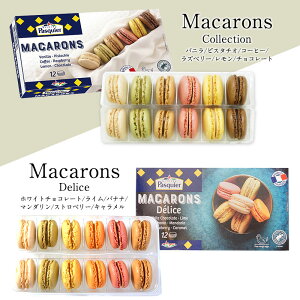 2�킩��I�ׂ�IBRIOCHE PASQUIER�m�u���I�b�V�� �p�X�L�G�n�p�X�L�G �}�J�����R���N�V���� / �}�J�����f���X�i6��e2�j�m�Ⓚ�̂݁n �y3�`4�c�Ɠ��ȓ��ɏo�ׁz