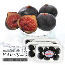 ［予約販売］佐渡島産 黒いちじく ビオレソリエス 約 300g（4玉〜8玉入り）×4パック【送料無料】［冷蔵のみ］［賞味…
